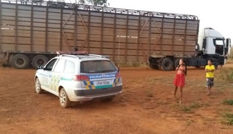 Imagem Ilustrando a Notícia: Gado roubado na BR-060 é recuperado pela PM de Santo Antônio do Descoberto
