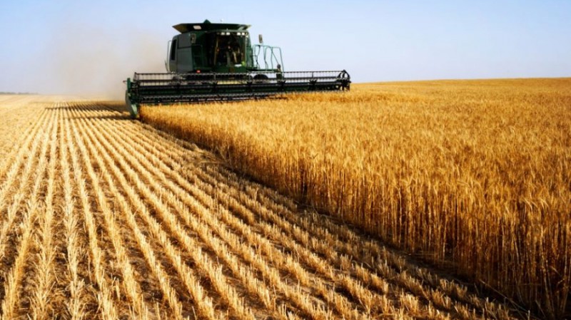 Imagem Ilustrando a Notícia: Valor da produção agropecuária é de R$ 574,25 bilhões