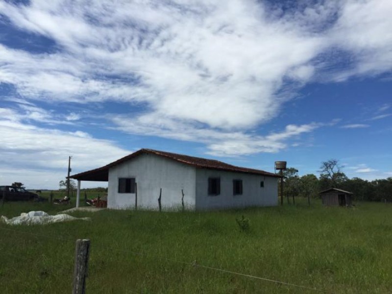 Imagem Ilustrando a Notícia: Insegurança na zona rural de Goiás aumenta durante a safra