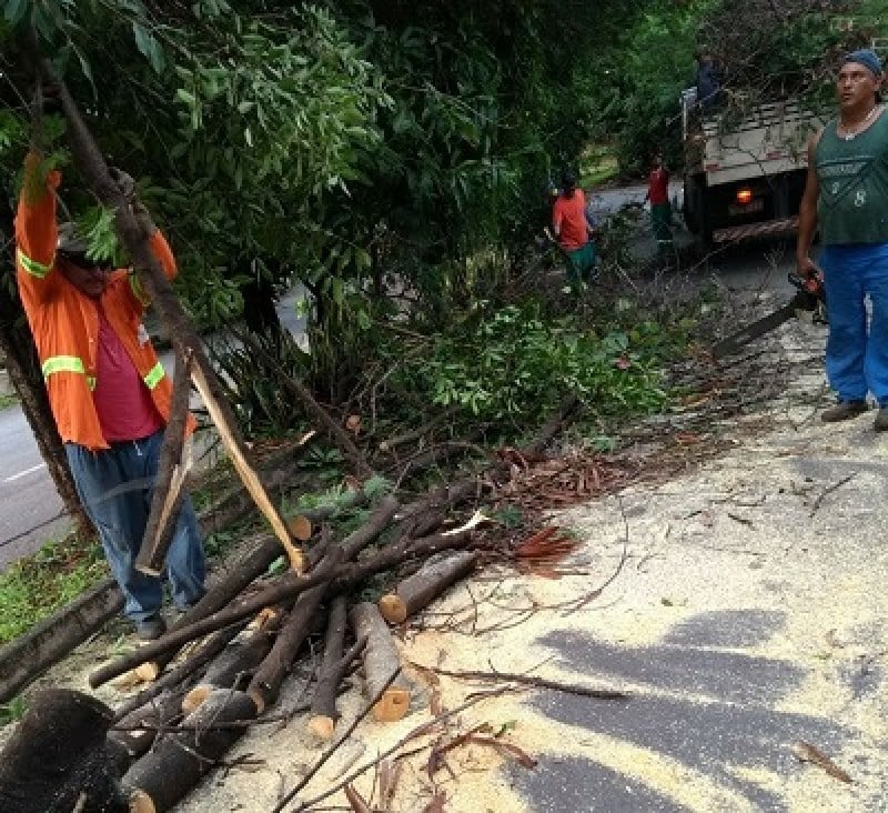 Imagem Ilustrando a Notícia: Ações de limpeza são intensificadas após estragos causados pelas chuvas