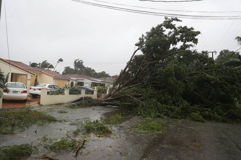 Imagem Ilustrando a Notícia: Furacão Irma quebrou “uma série de recordes”, diz ONU