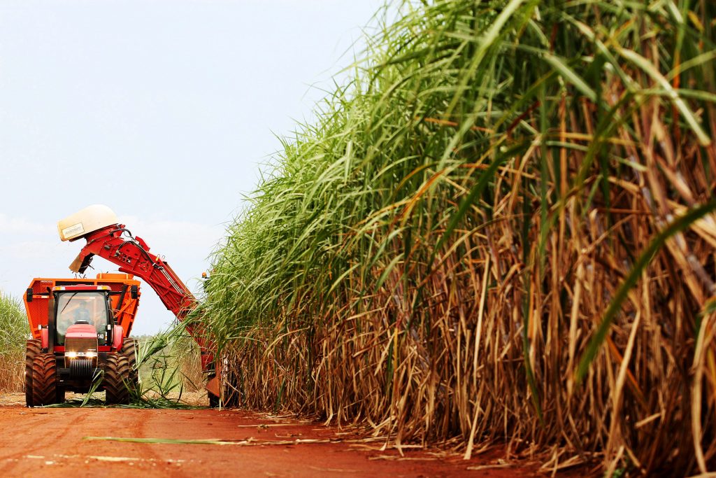 Imagem Ilustrando a Notícia: Usinas de Goiás vão destinar quase 83% da cana a ser colhida nesta safra para etanol