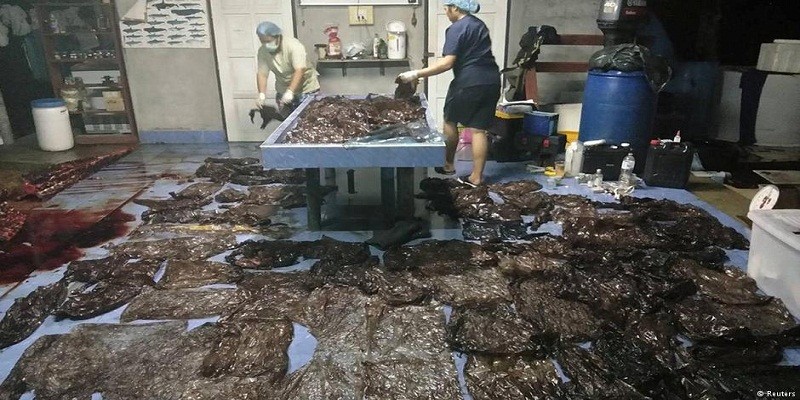Imagem Ilustrando a Notícia: Baleia morre na Tailândia após engolir 80 sacolas de plástico