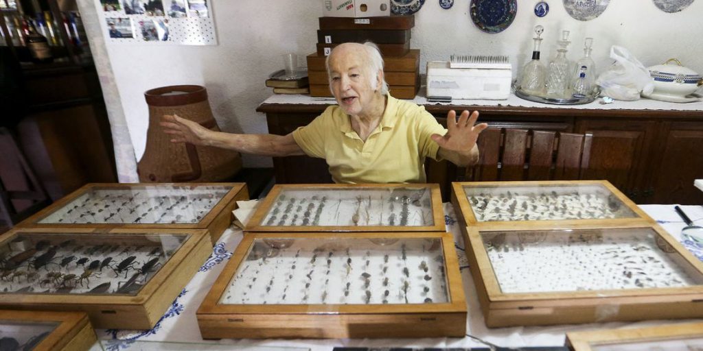 Imagem Ilustrando a Notícia: Colecionador brasiliense doa 2 mil insetos ao Museu Nacional do Rio