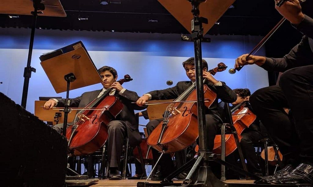 Imagem Ilustrando a Notícia: Orquestra Sinfônica Pedro Ludovico Teixeira fará live didática nessa terça-feira (22)