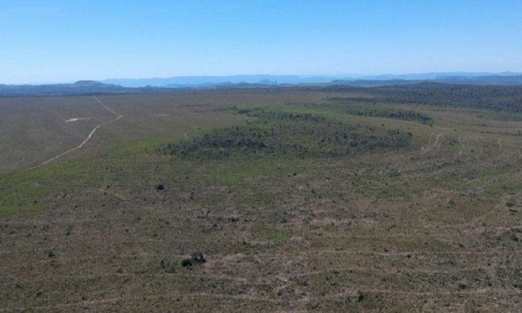Imagem Ilustrando a Notícia: Área calunga sofre desmatamento ilegal de grandes proporções, em Cavalcante-GO