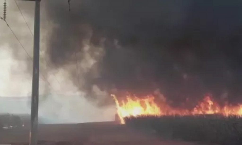 Imagem Ilustrando a Notícia: Goiás registra em agosto maior número de queimadas deste ano