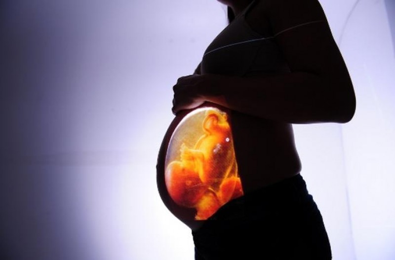 Imagem Ilustrando a Notícia: Pré-eclâmpsia ainda é a principal causa de morte materna no Brasil