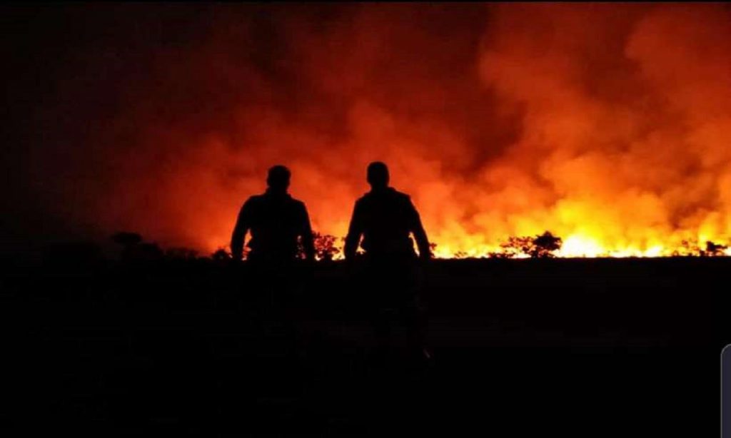Imagem Ilustrando a Notícia: Fogo queima 16 mil hectares do Parque das Emas