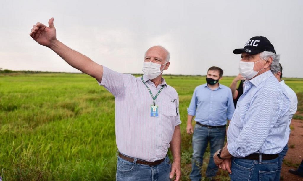 Imagem Ilustrando a Notícia: Governador projeta ampliar produção de arroz no Estado em parceria com União