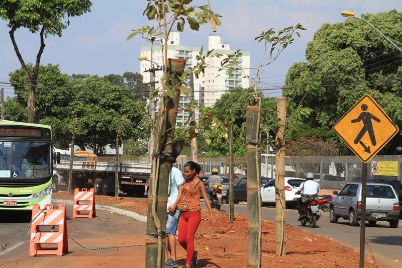 Imagem Ilustrando a Notícia: Após acidentes, prefeitura retira Jamelões