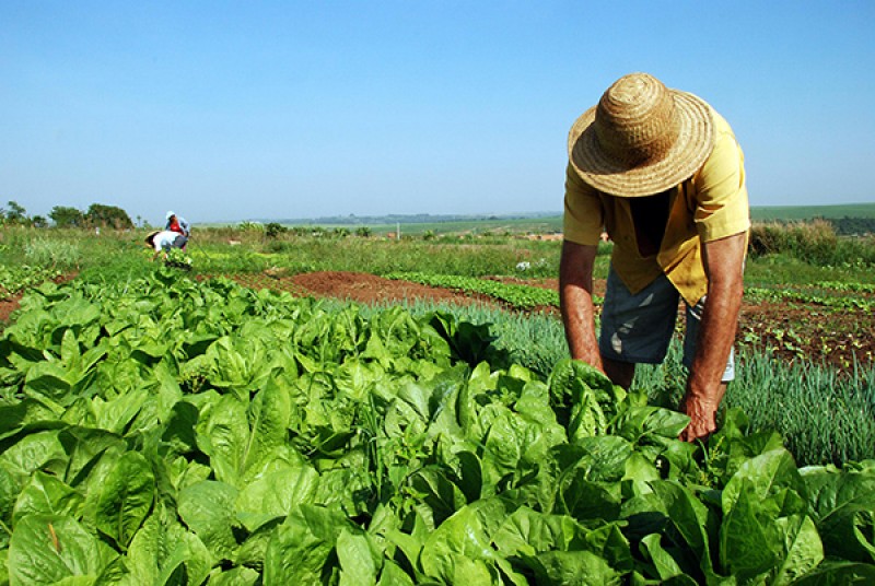 Imagem Ilustrando a Notícia: TCU revoga medida cautelar que paralisava reforma agrária no país