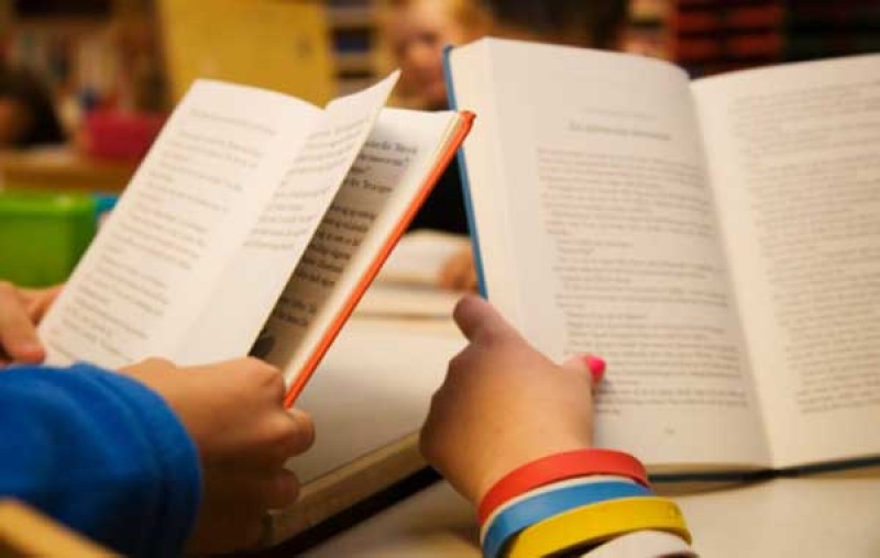 Imagem Ilustrando a Notícia: Pesquisa da UFG transforma compreensão da leitura entre estudante