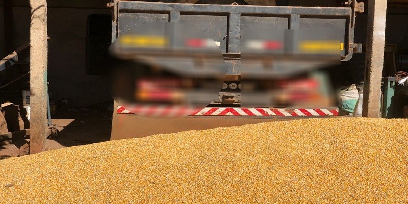 Imagem Ilustrando a Notícia: Carga de 17 toneladas de milho é apreendida pela Polícia Civil