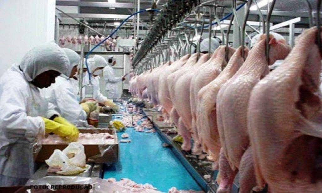 Imagem Ilustrando a Notícia: Goiás é o 5º no ranking nacional de abate de frangos