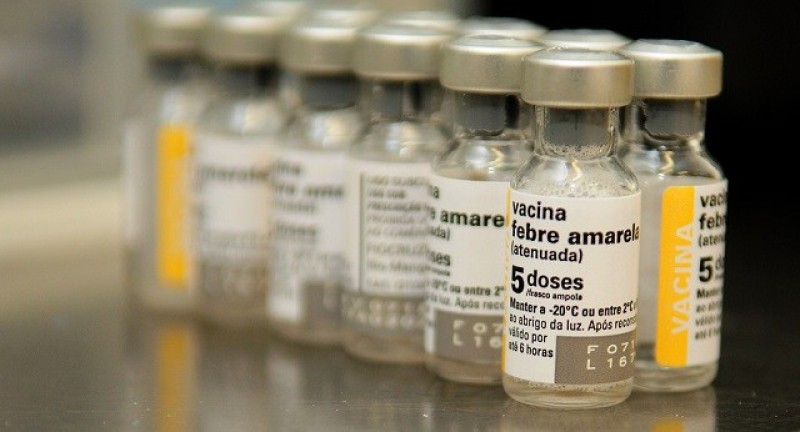 Imagem Ilustrando a Notícia: Vacina contra febre amarela deve ser aplicada 10 dias antes da viagem