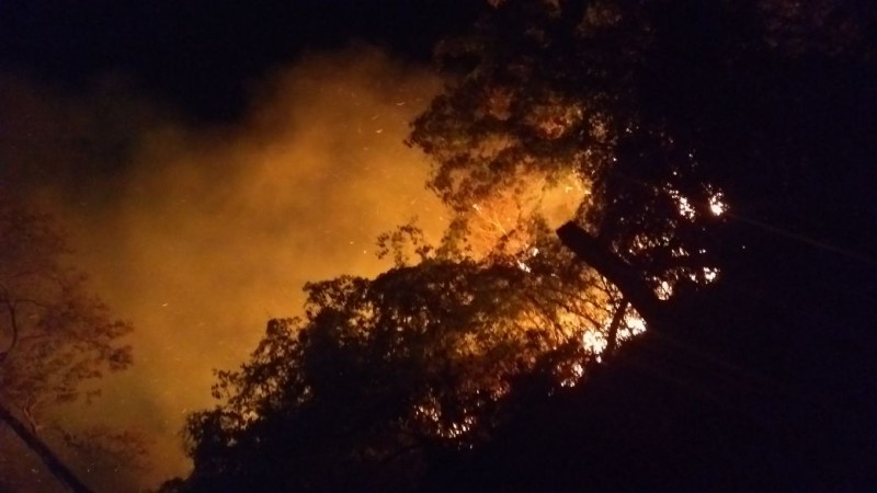 Imagem Ilustrando a Notícia: Incêndio no Parque Ecológico de Morrinhos se alastra
