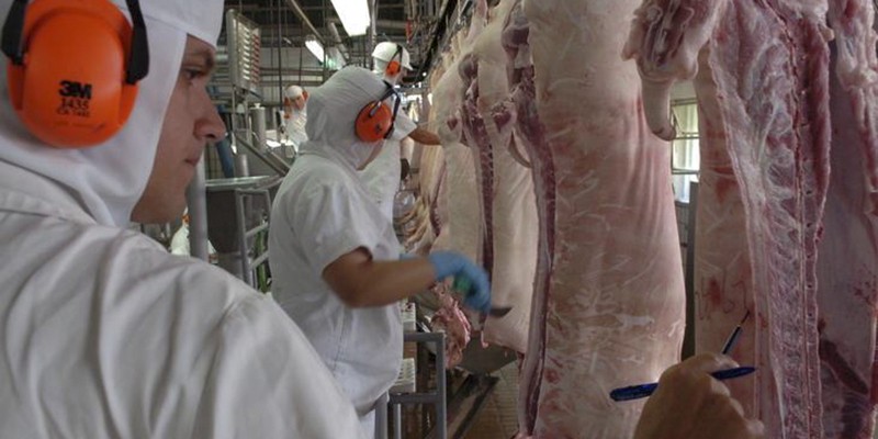 Imagem Ilustrando a Notícia: Carne suína do Brasil será exportada para a Coreia do Sul