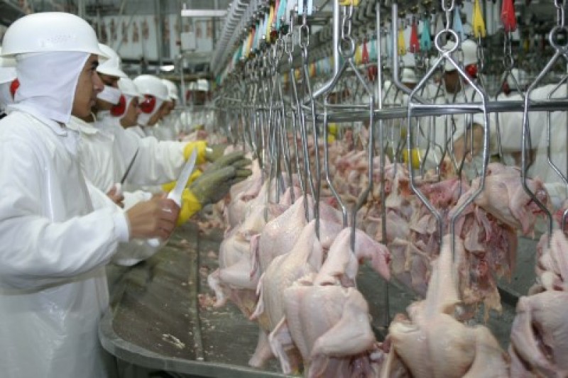 Imagem Ilustrando a Notícia: Produção de carne de frango deve cair em 2016, diz associação
