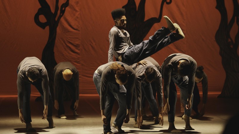 Imagem Ilustrando a Notícia: Companhia goiana abre noites do Festival Internacional de Dança