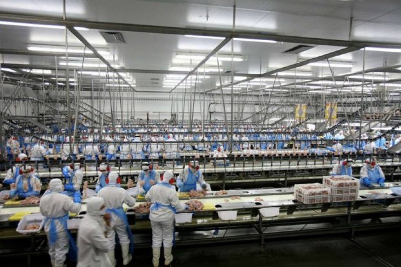 Imagem Ilustrando a Notícia: Indústria goiana é a terceira que mais cresce no País, diz IBGE
