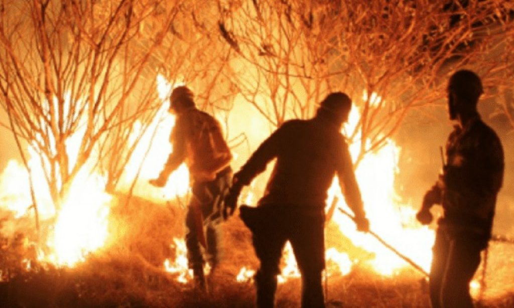 Imagem Ilustrando a Notícia: Goiás tem 160 ocorrências de incêndio por dia