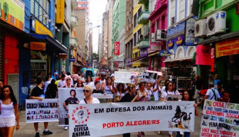 Imagem Ilustrando a Notícia: Ativistas realizam ‘Marcha da defesa animal’ neste domingo