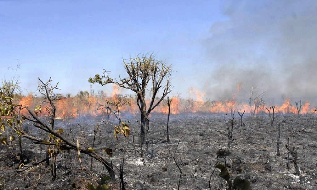 Imagem Ilustrando a Notícia: Governo divulga informações falsas sobre queimadas no Brasil