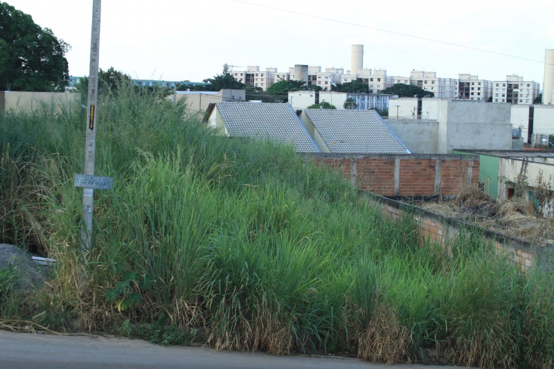 Imagem Ilustrando a Notícia: Só 4% dos lotes baldios abandonados foram multados em Goiânia