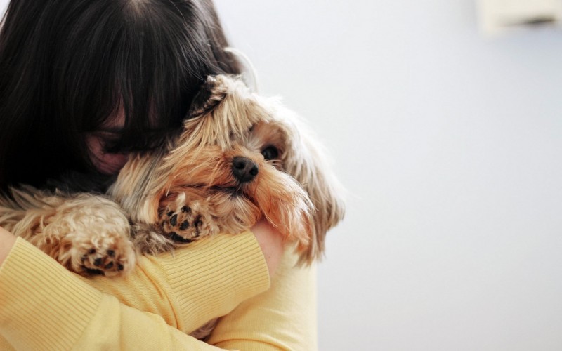 Imagem Ilustrando a Notícia: Abraçar o pet é bom para quem?