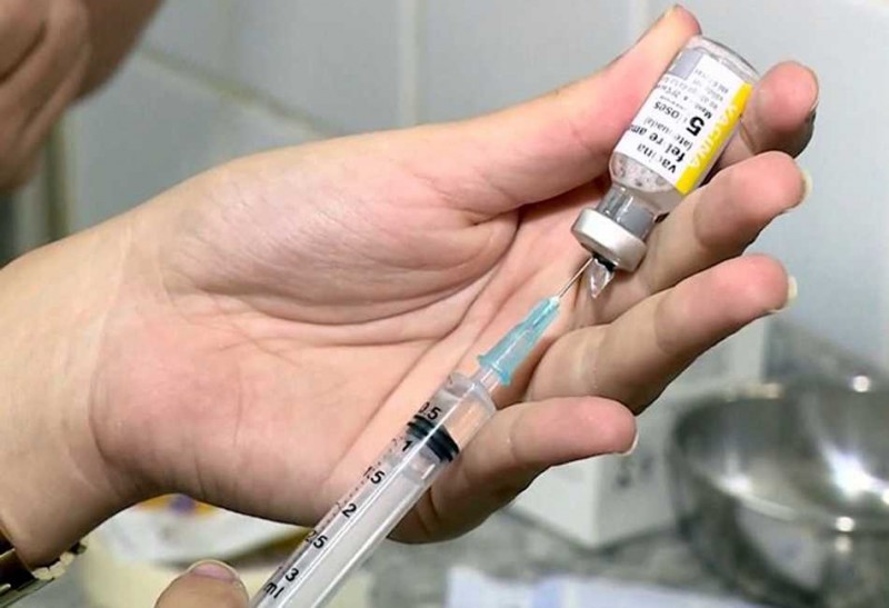 Imagem Ilustrando a Notícia: Ministério da Saúde estuda ampliar vacinação de febre amarela para todo o país