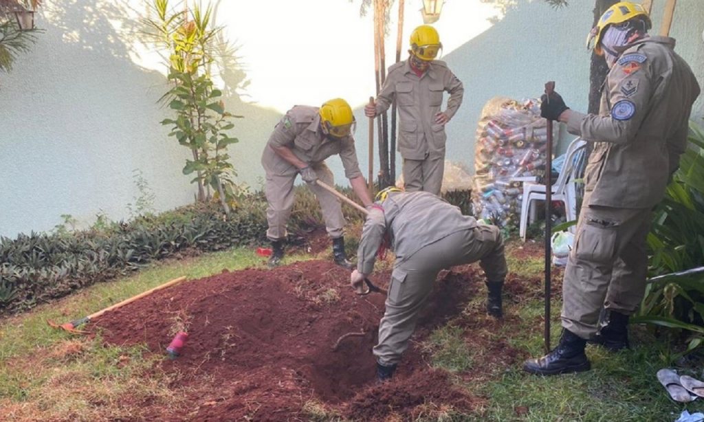 Imagem Ilustrando a Notícia: Acusada de matar e enterrar corpo do marido no quintal em Goiânia vai a júri popular