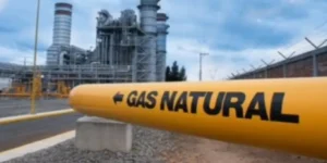 Processo permite transparência na contratação de serviço do gasoduto