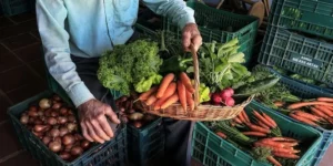 O texto assinado prevê colaboração mútua na fiscalização e controle dos produtos e políticas voltadas para o desenvolvimento da produção orgânica