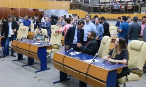 Tatiana Lemos foi a que mais apresentou PLs, mas também a que mais faltou. Tiãozinho Porto fez mais de 7.500 requerimentos à Prefeitura | Foto: reprodução