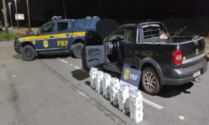 Mercadoria avaliada em mais de 90 mil reais é fruto de contrabando. | Foto: Divulgação