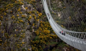 A ponte suspensa de pedestre tem 516 metros de comprimento e fica localizada no Arouca Geopark, no norte do país | Foto: Violeta Santos Moura/Reuters
