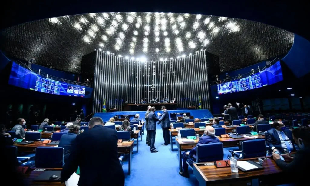 A deputada federal da bancada de Goiás na Câmara e autora da iniciativa, Flávia Morais, quer que as vítimas sejam creditadas no momento de ajuda | Foto: Marcos Oliveira
