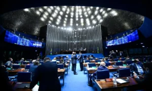 A deputada federal da bancada de Goiás na Câmara e autora da iniciativa, Flávia Morais, quer que as vítimas sejam creditadas no momento de ajuda | Foto: Marcos Oliveira