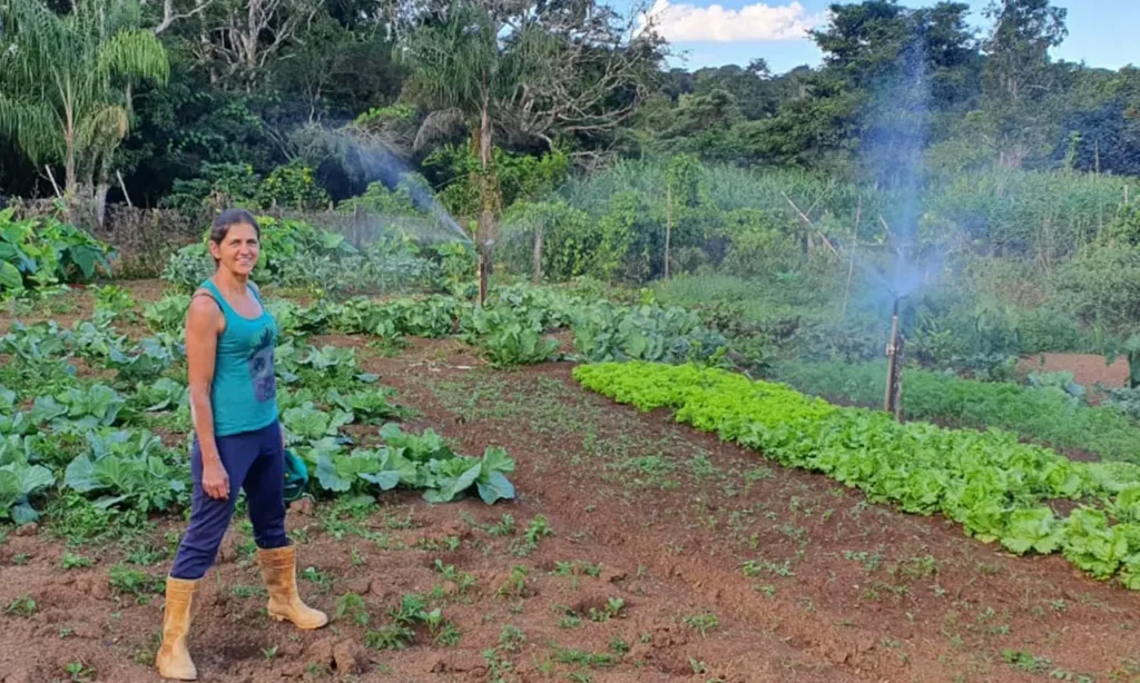 De um lado o negócio das hortaliças, do outro, o das flores. Ambos garantindo receita por meio da natureza | Foto: Douglas Oliveira