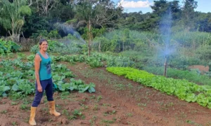 De um lado o negócio das hortaliças, do outro, o das flores. Ambos garantindo receita por meio da natureza | Foto: Douglas Oliveira