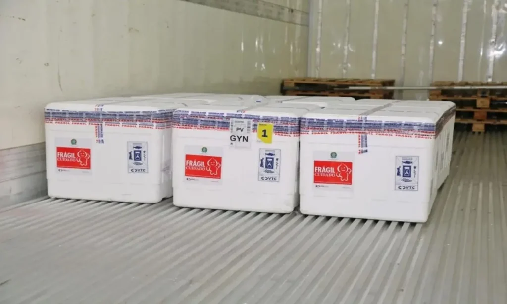 Carregamento é composto por 241,8 mil doses da CoronaVac e 25 mil da AstraZeneca | Foto: Reprodução