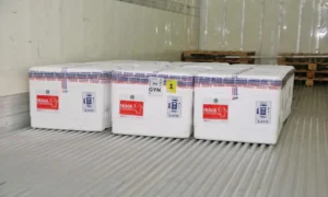 Carregamento é composto por 241,8 mil doses da CoronaVac e 25 mil da AstraZeneca | Foto: Reprodução