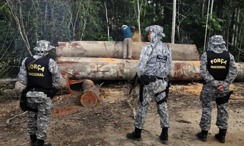 Governo Federal editou uma portaria autorizando os militares atuarem na fiscalização e repressão ao desmatamento ilegal | Foto: reprodução