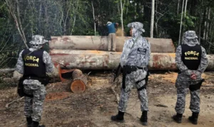 Governo Federal editou uma portaria autorizando os militares atuarem na fiscalização e repressão ao desmatamento ilegal | Foto: reprodução