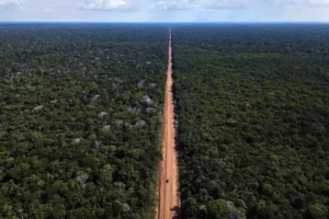 Ecólogo classifica obras na BR-319 como 'maior ameaça atual à Amazônia' | Foto: Reprodução