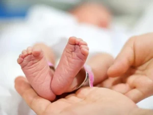 Bolsa Família auxiliou na redução do índice, aponta estudo | Foto: Reprodução