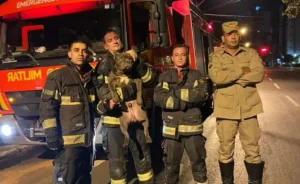 As vítimas foram retiradas sem ferimentos. Após isso, a equipe de combate a incêndio realizou a extinção das chamas | Foto: Divulgação/ CBM-GO