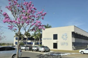 Além das atividades presenciais da área da saúde que já estão acontecendo, todos os cursos devem retornar no próximo ano | Foto: