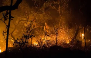 ICMBio combate fogo na Chapada dos Veadeiros